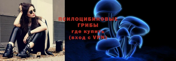 ALPHA PVP Алексеевка