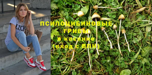 круглые Алексин
