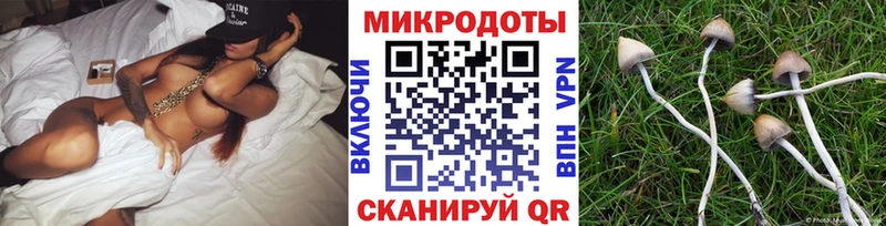 Галлюциногенные грибы мицелий  Муравленко 