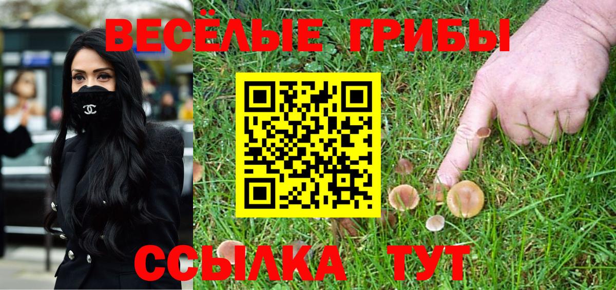Псилоцибиновые грибы MAGIC MUSHROOMS Муравленко