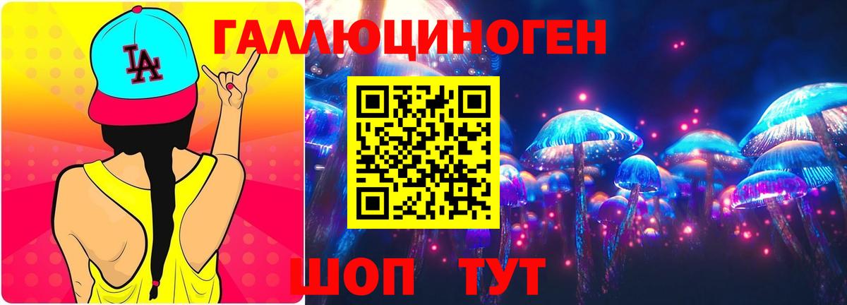 хочу   Псилоцибиновые грибы прущие грибы  Вход с VPN  Муравленко 